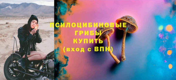 прущие грибы Абинск