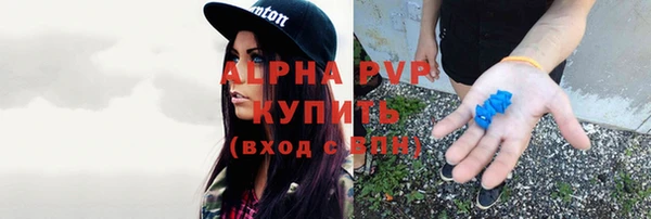 спиды Михайловка