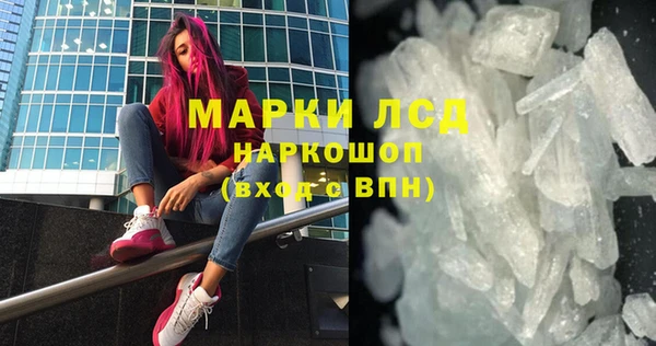 прущие грибы Абинск