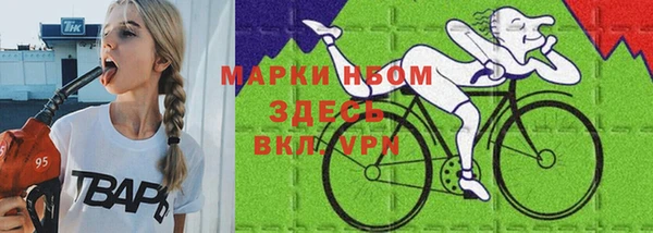 прущие грибы Абинск