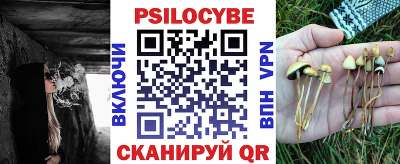 мориарти Telegram Сокол Псилоцибиновые грибы GOLDEN TEACHER сколько стоит